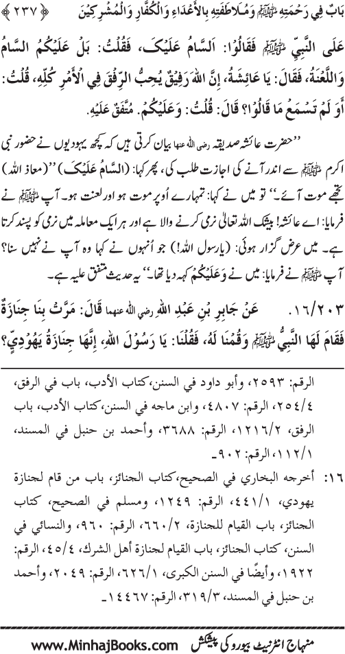 صفحہ نمبر 237 از رحمۃ المصطفی (ص) بالخلق	تصنیف  شیخ الاسلام ڈاکٹر محمد طاہرالقادری