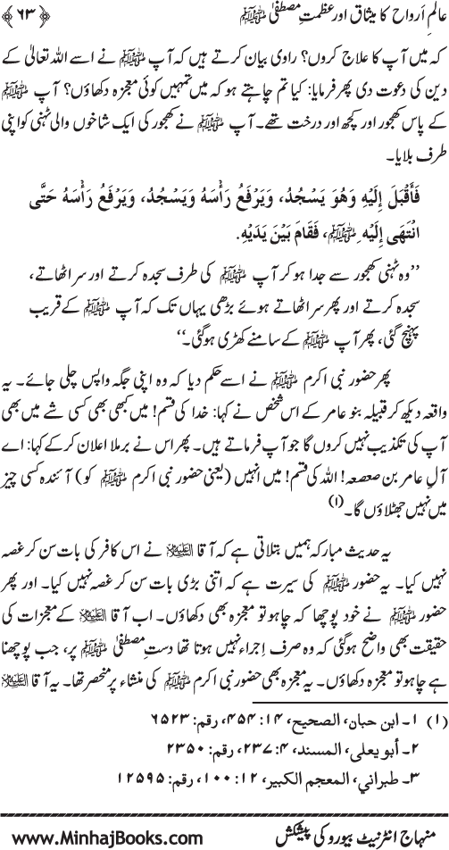 Aalam-e-Arwah ka Misaq awr Azamat-e-Mustafa (pbuh)