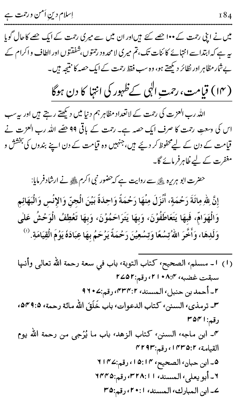 Islam Din-e-Amn-o-Rahmat Hay