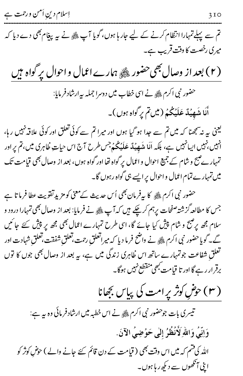 Islam Din-e-Amn-o-Rahmat Hay