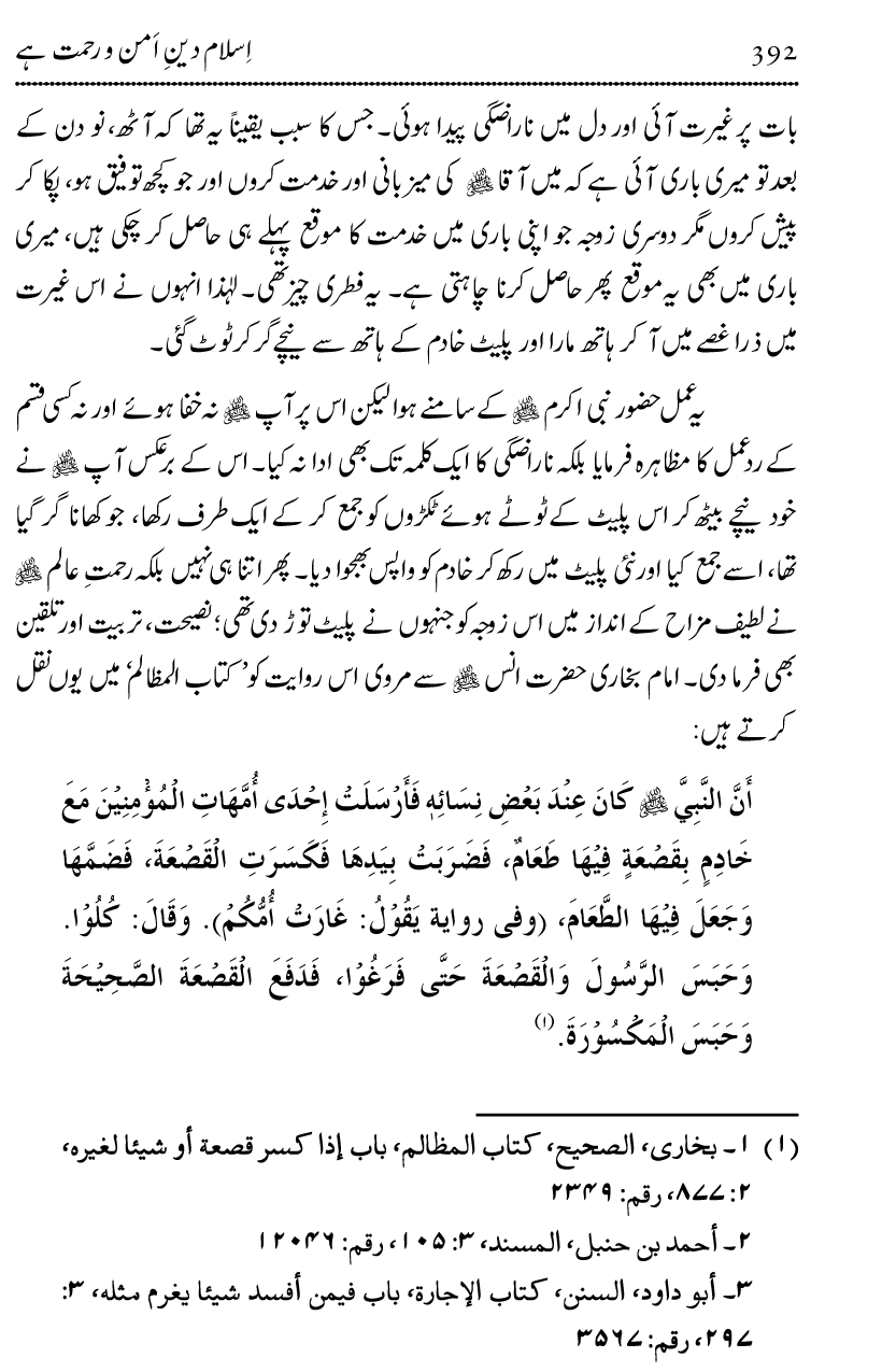 Islam Din-e-Amn-o-Rahmat Hay