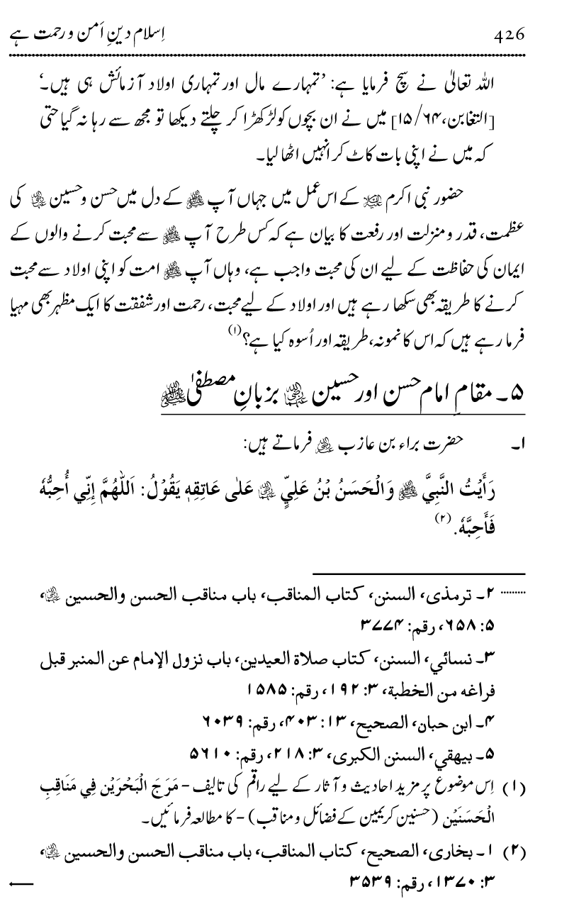 Islam Din-e-Amn-o-Rahmat Hay