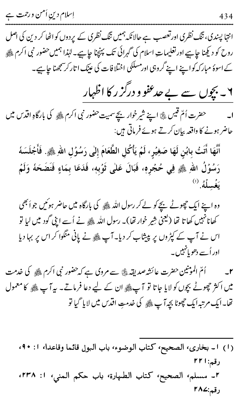 Islam Din-e-Amn-o-Rahmat Hay