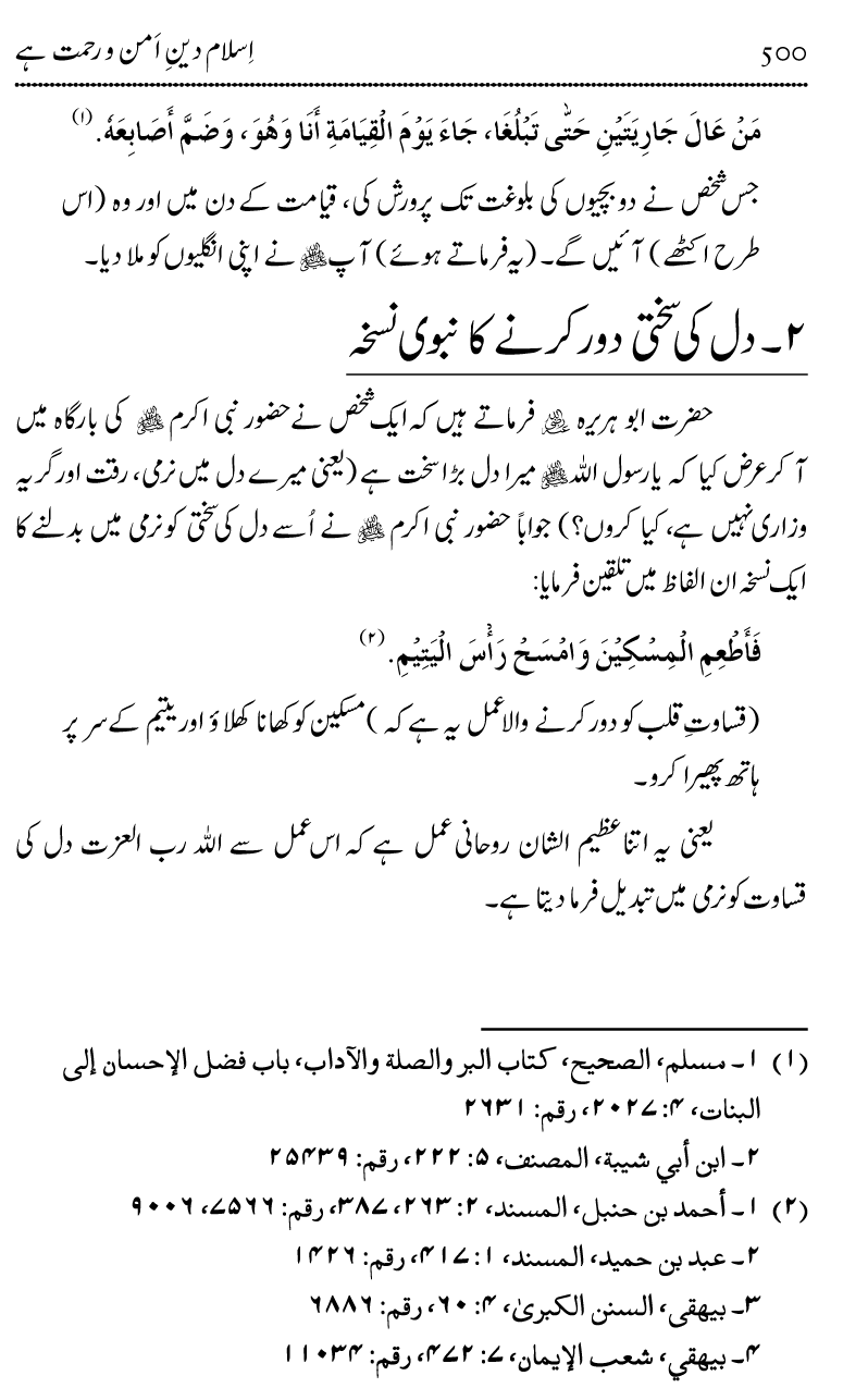 Islam Din-e-Amn-o-Rahmat Hay