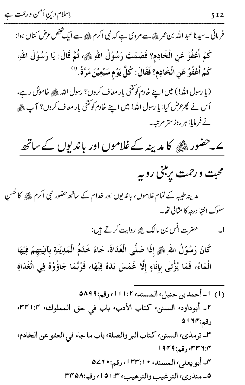 Islam Din-e-Amn-o-Rahmat Hay