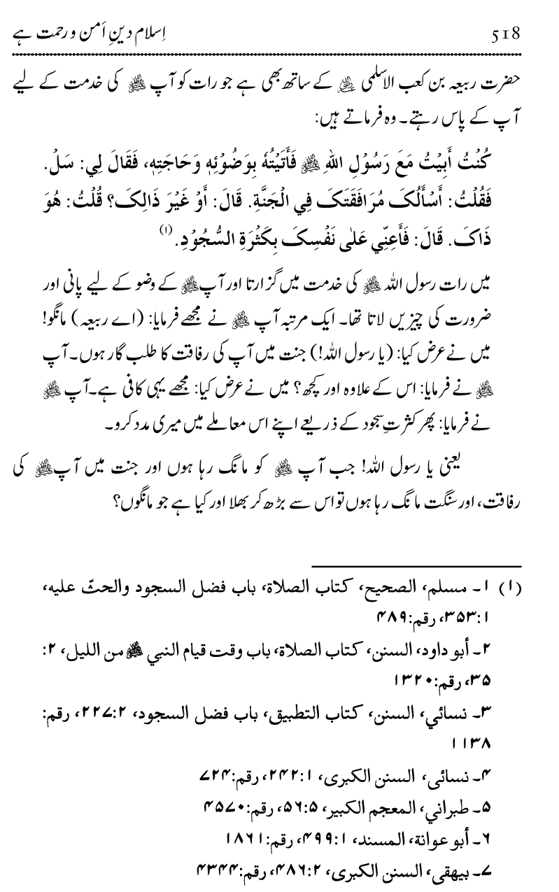 Islam Din-e-Amn-o-Rahmat Hay