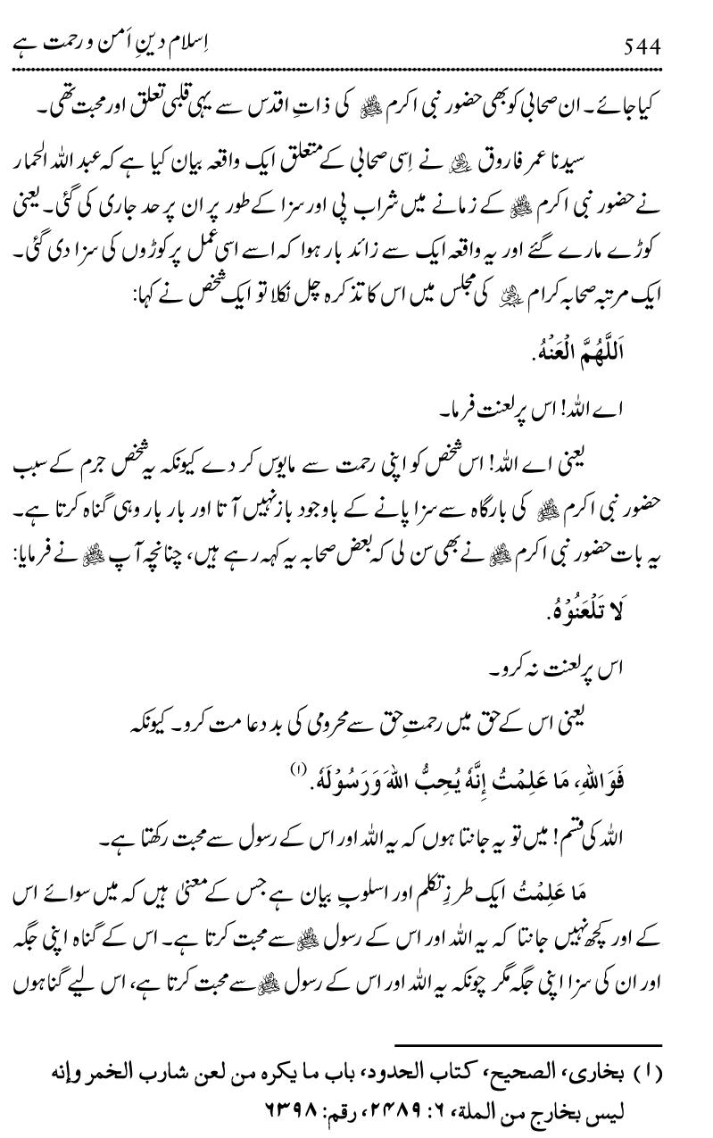 Islam Din-e-Amn-o-Rahmat Hay