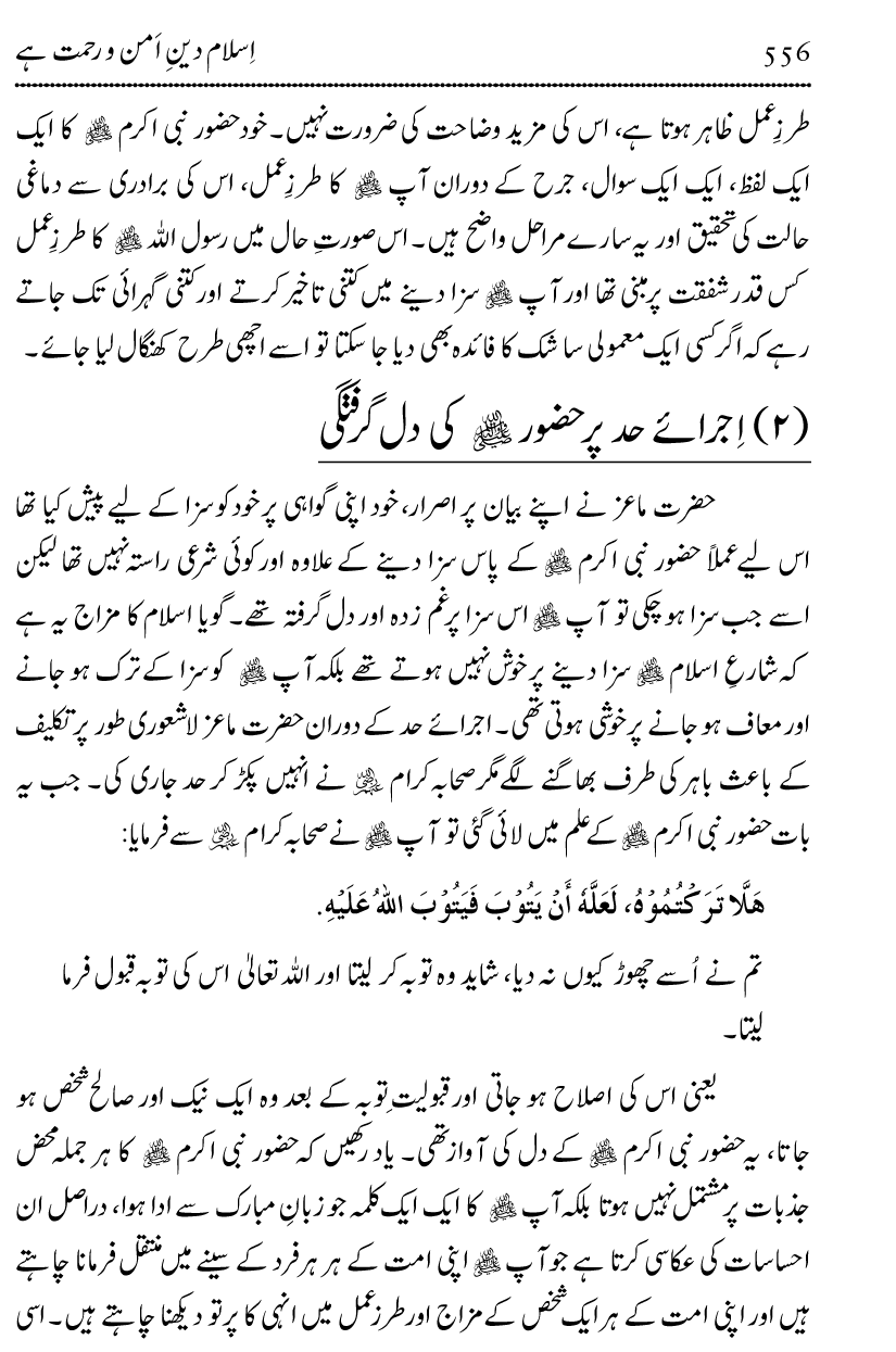 Islam Din-e-Amn-o-Rahmat Hay