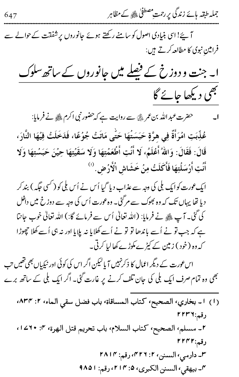 Islam Din-e-Amn-o-Rahmat Hay