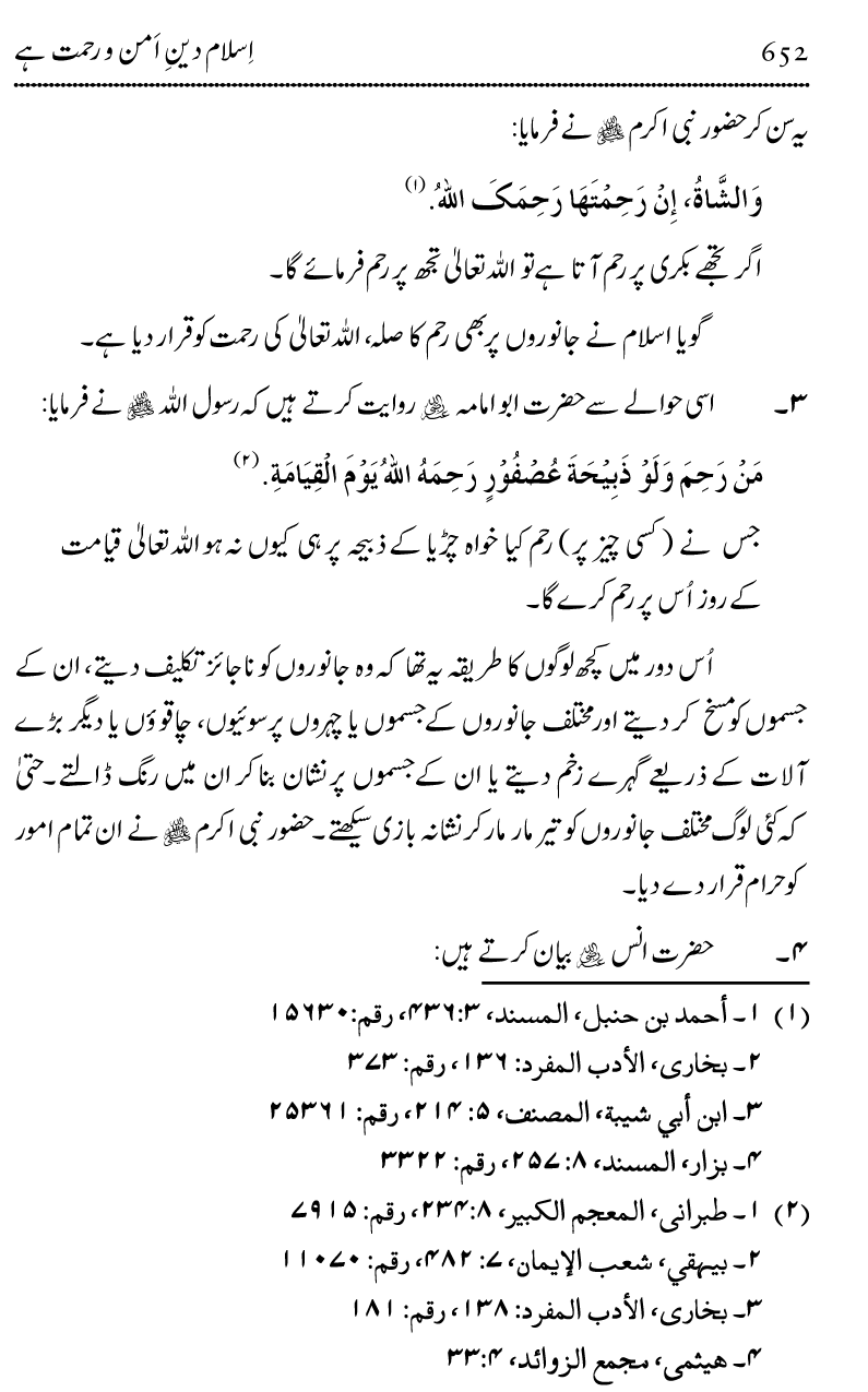 Islam Din-e-Amn-o-Rahmat Hay