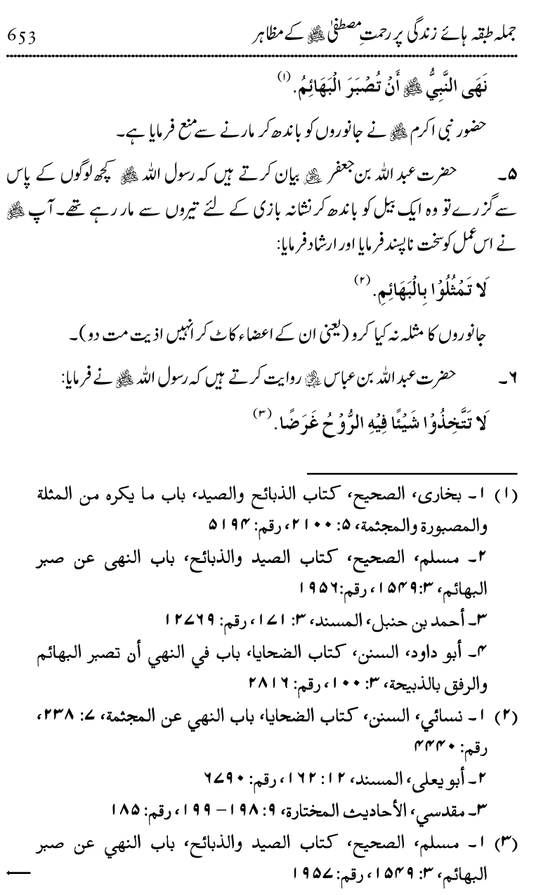 Islam Din-e-Amn-o-Rahmat Hay