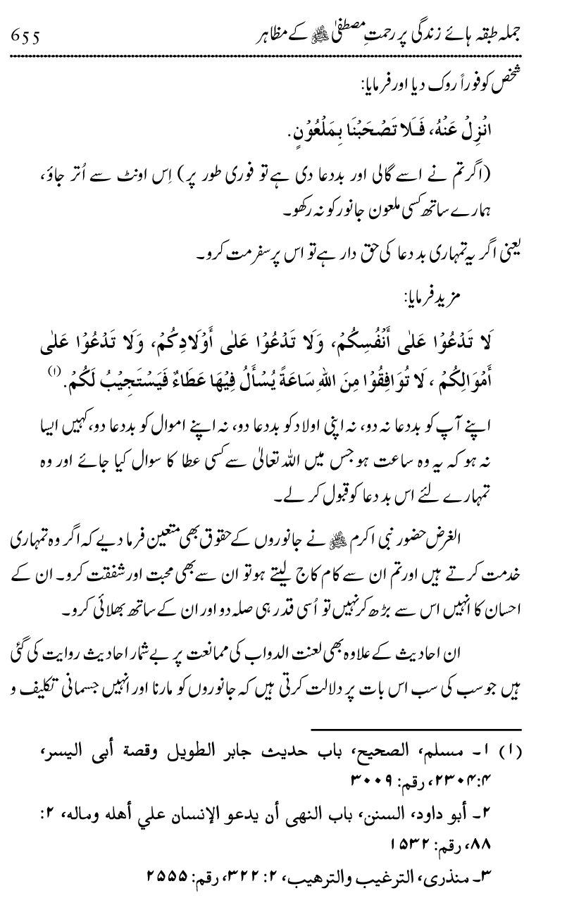 Islam Din-e-Amn-o-Rahmat Hay