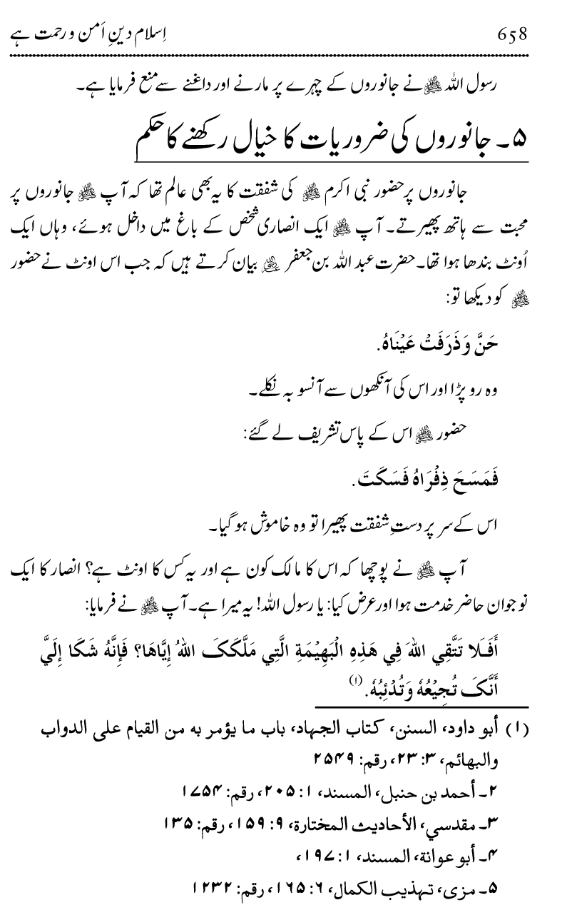 Islam Din-e-Amn-o-Rahmat Hay