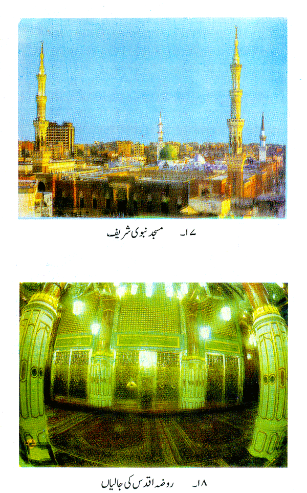 Falsafa-e-Hajj