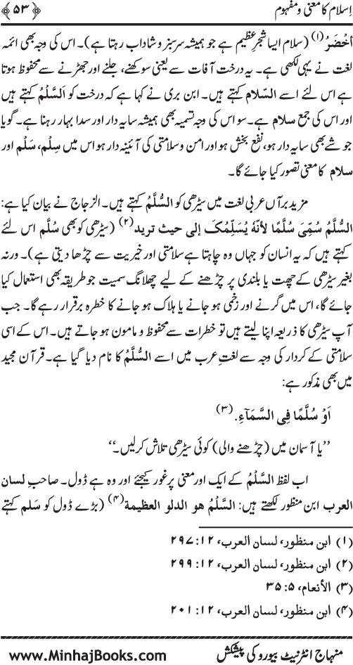 Dehshat Gardi awr Fitna-e-Khawarij