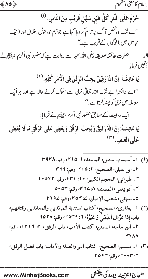 Dehshat Gardi awr Fitna-e-Khawarij