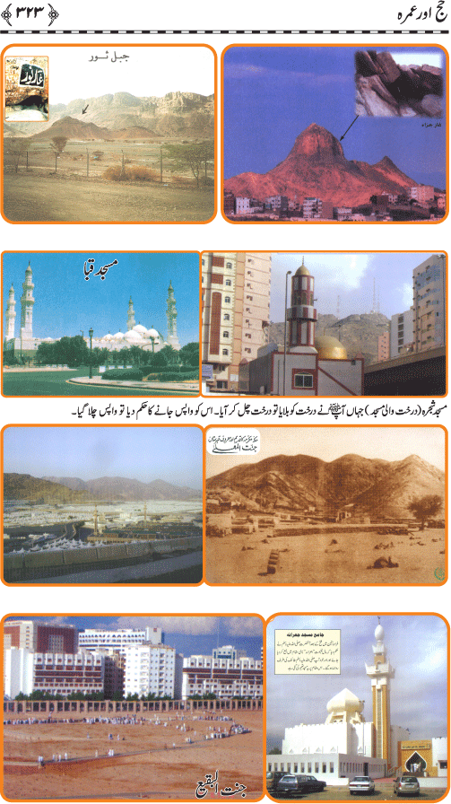 Islamic Teachings Series (7): Hajj and Visitation