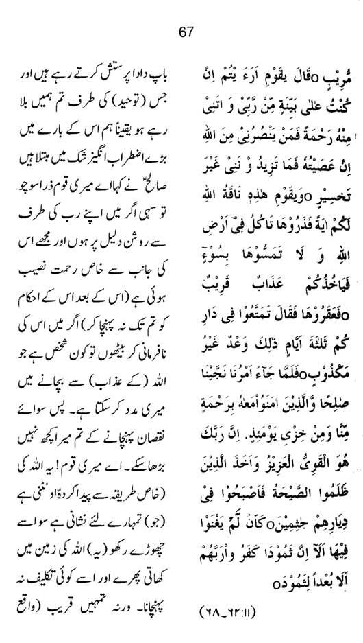 Qurani Falsafa-e-Inqilab (vol. II)