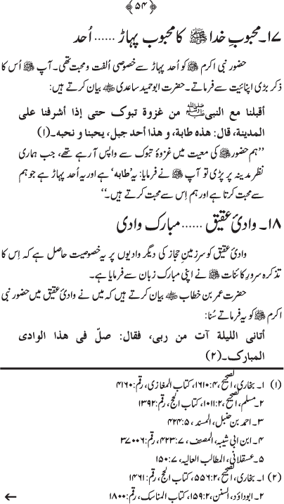 Shahr-e-Madina awr Ziarat-e-Rasul (PBUH)