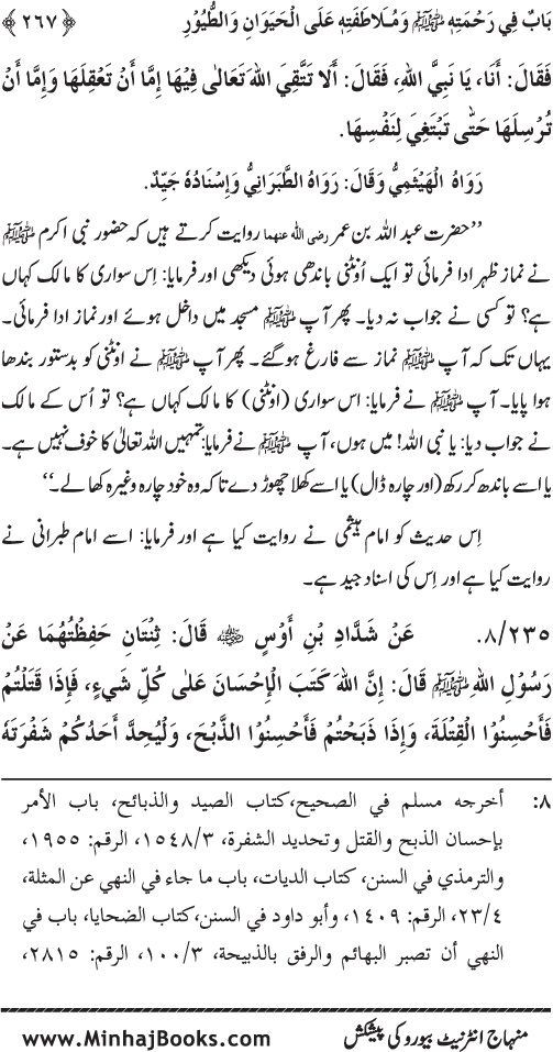 Jami‘ Khalq par Huzur Nabi Akram (PBUH) ki Rahmat wa Shafqat