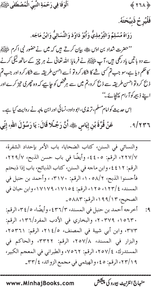 Jami‘ Khalq par Huzur Nabi Akram (PBUH) ki Rahmat wa Shafqat