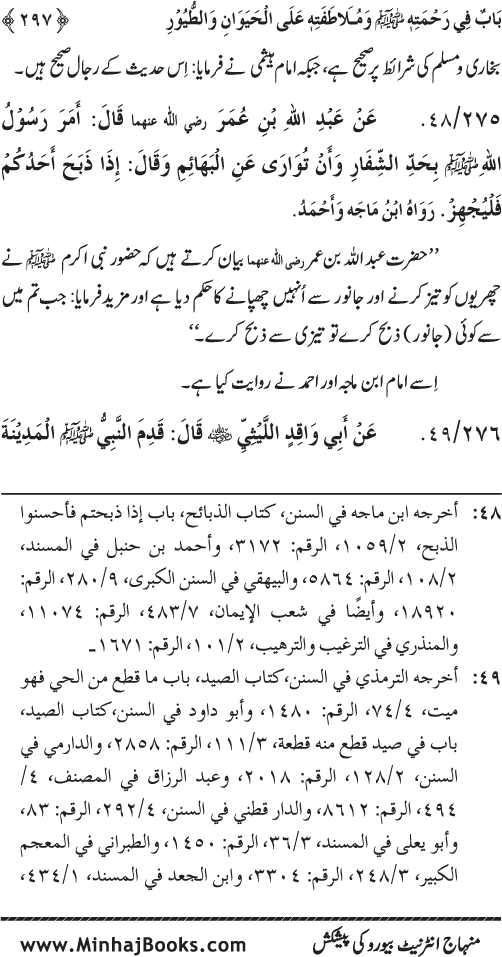 Jami‘ Khalq par Huzur Nabi Akram (PBUH) ki Rahmat wa Shafqat