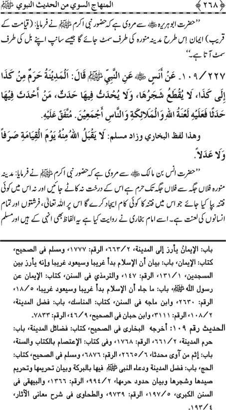 The Straight Road from the Prophetic Traditions