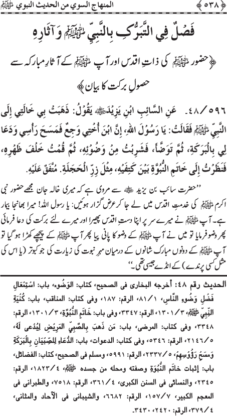 Al-Minhaj al-Sawi min al-Hadith al-Nabawi