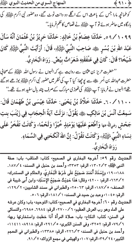 Al-Minhaj al-Sawi min al-Hadith al-Nabawi