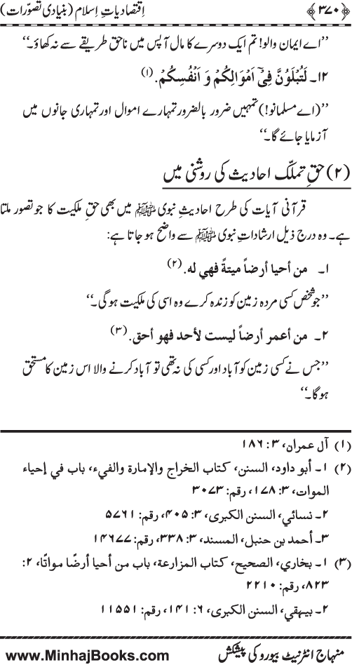 Iqtisadiat-e-Islam