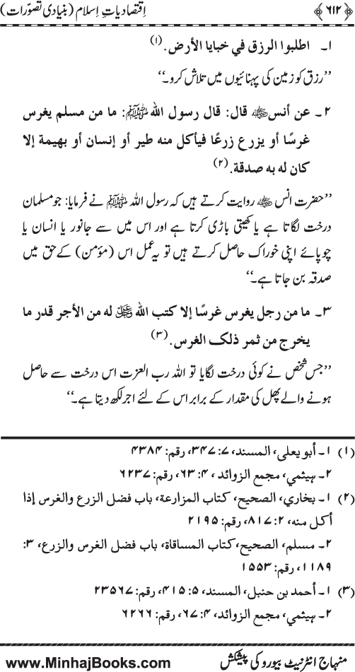 Iqtisadiat-e-Islam