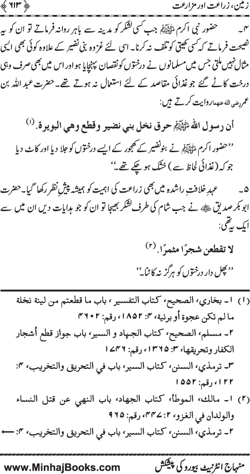 Iqtisadiat-e-Islam