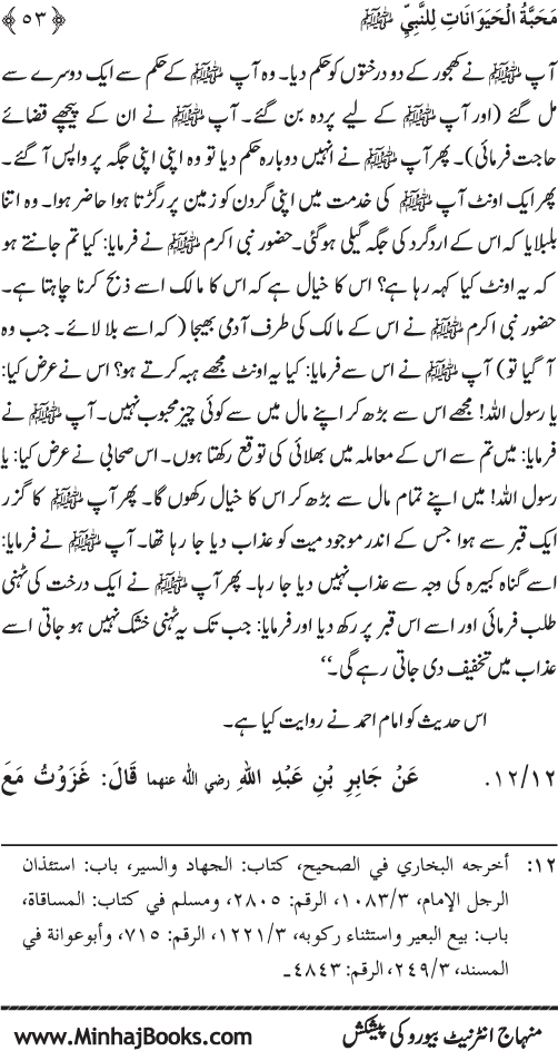 Huzur (PBUH) se Haywanat, Jamadat awr Nabatat ki Mahabbat