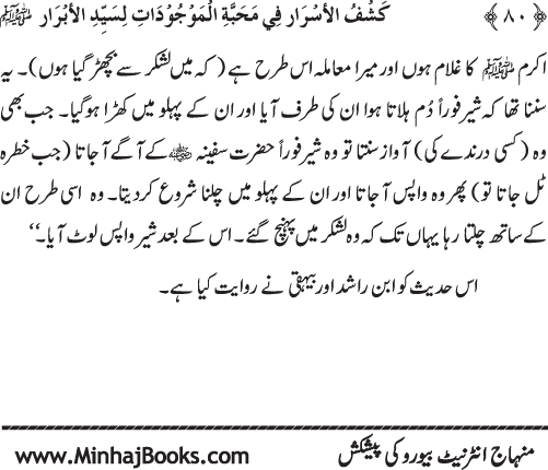 Huzur (PBUH) se Haywanat, Jamadat awr Nabatat ki Mahabbat