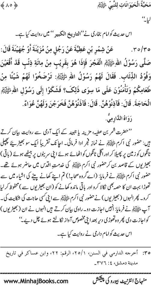 Huzur (PBUH) se Haywanat, Jamadat awr Nabatat ki Mahabbat